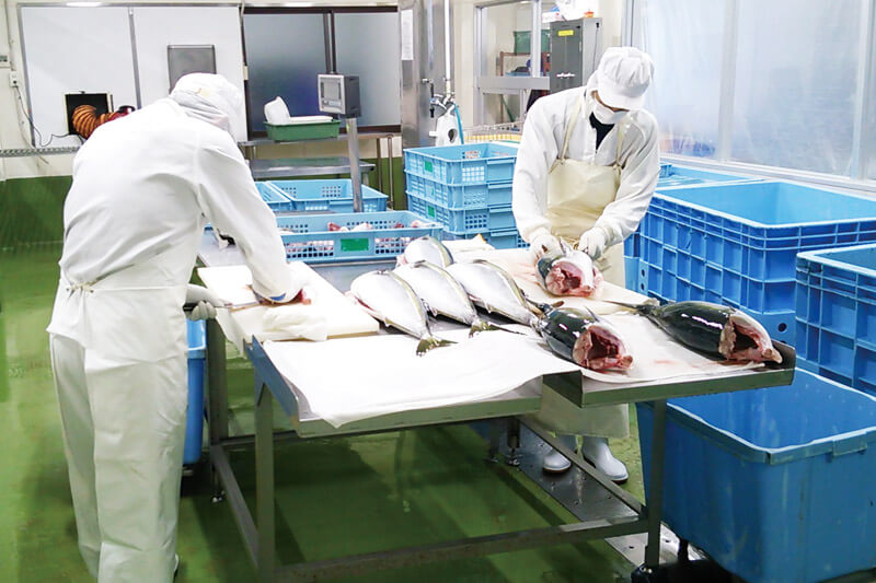 豊富な加工形態