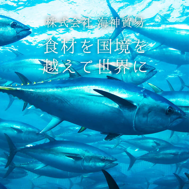 株式会社海神貿易 食材を国境を越えて世界へ