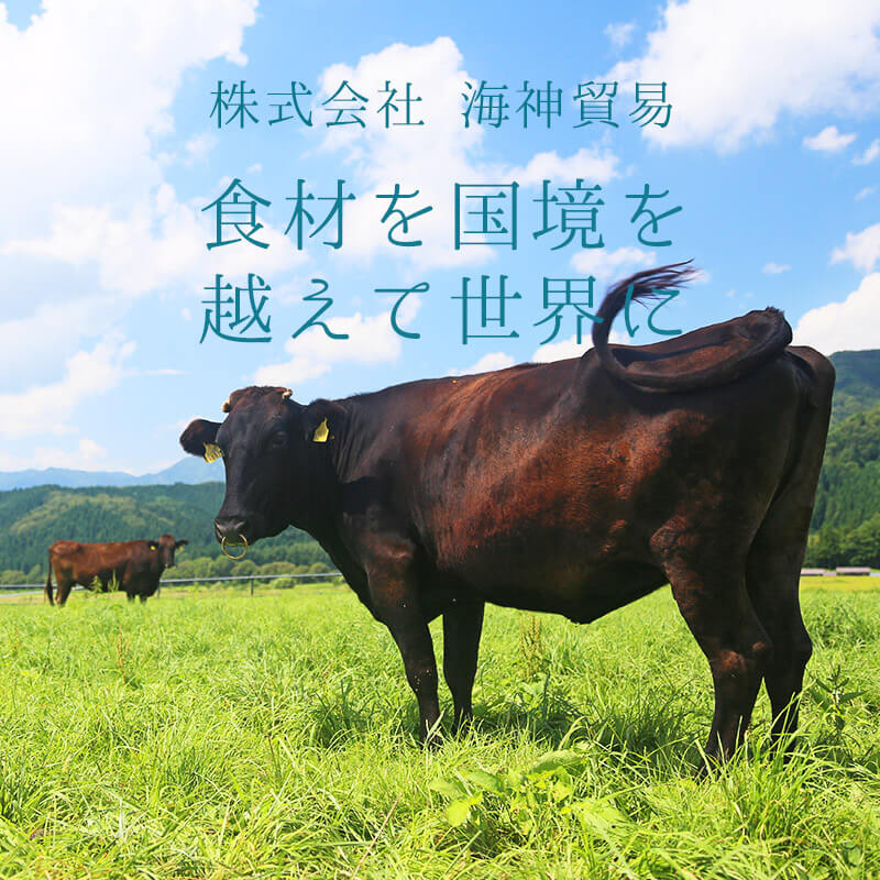 株式会社海神貿易 食材を国境を越えて世界へ