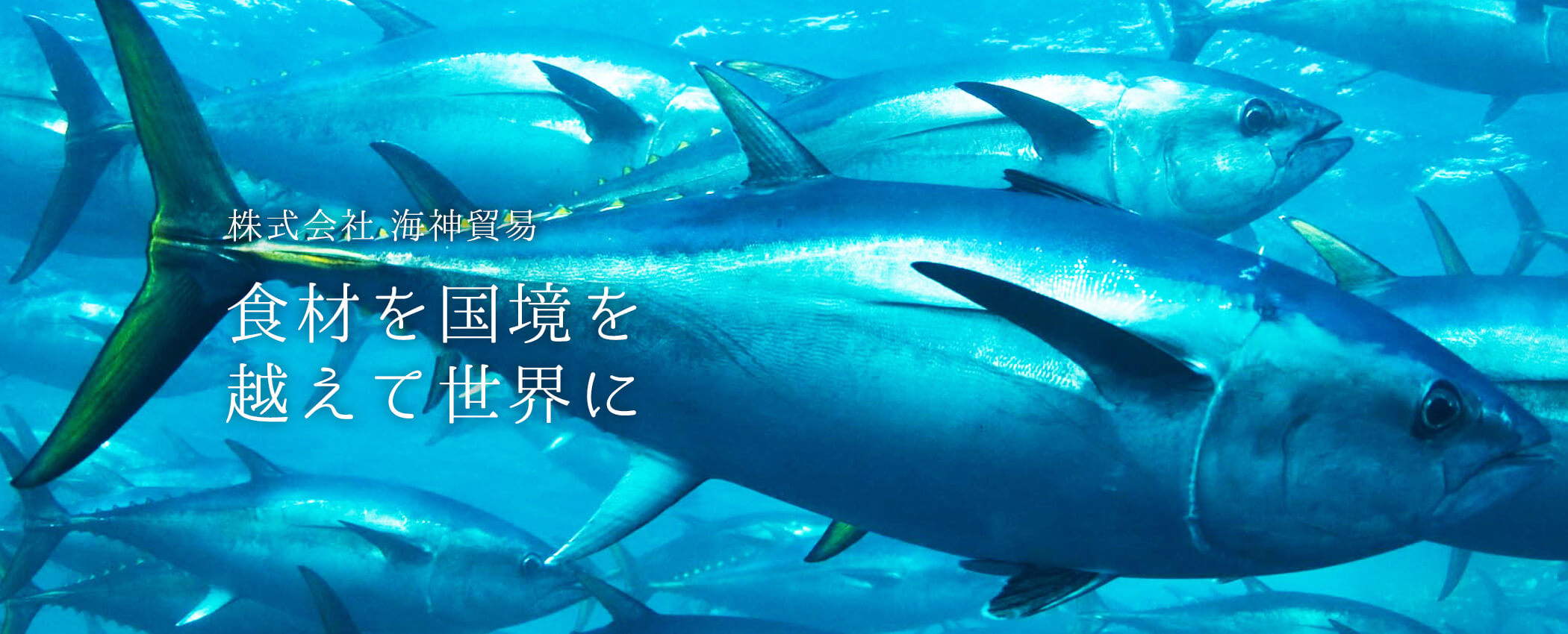 株式会社海神貿易 食材を国境を越えて世界へ